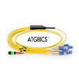 ATGBICS MTP Female-12 LC Duplex 24 Fibres OS2 9/125 Singlemode Breakout Cable, Type B, LSZH 3.0, 7m