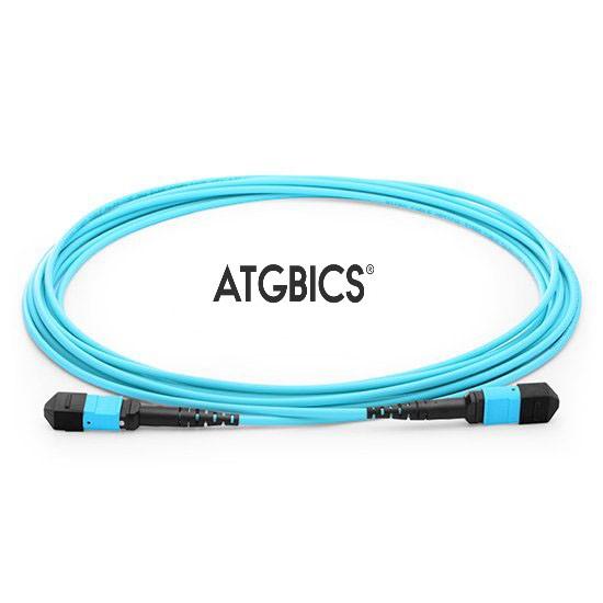 ATGBICS MTP Female-Female 24 Fibres OM3 50/125 Multimode Trunk Cable, Type B, LSZH 3.0, 5m